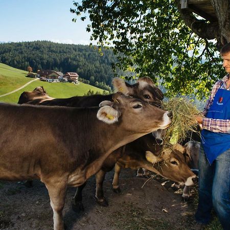 Mair Am Graben Farm * Chalets Теренто Экстерьер фото