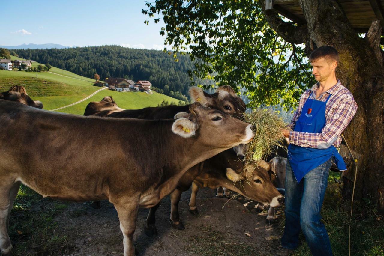 Mair Am Graben Farm * Chalets Теренто Экстерьер фото