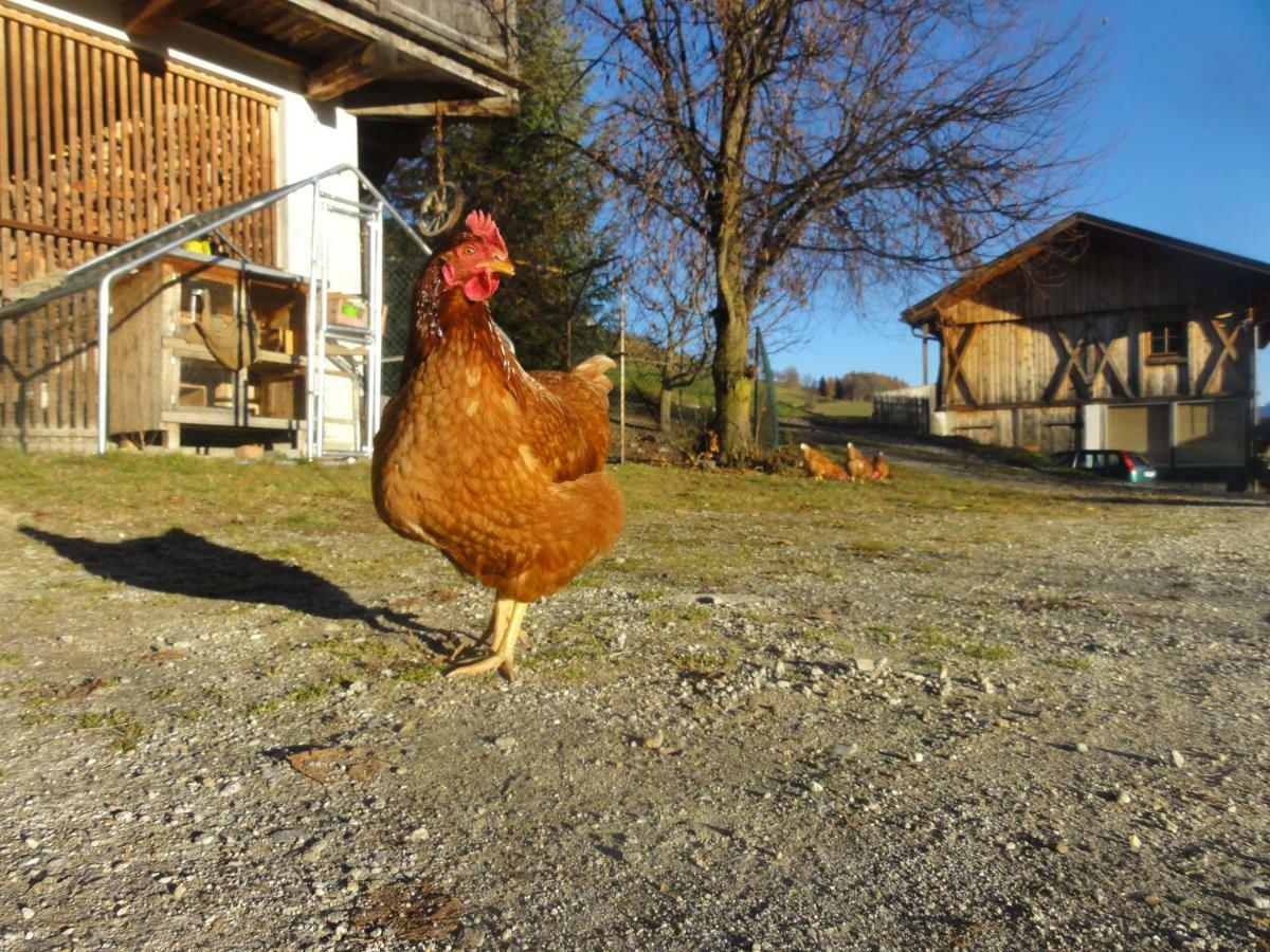 Mair Am Graben Farm * Chalets Теренто Экстерьер фото